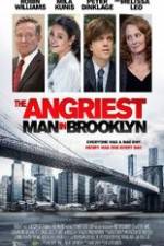 Watch The Angriest Man in Brooklyn Tvmuse