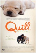 Watch Quill: The Life of a Guide Dog Tvmuse