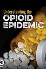 Watch Understanding the Opioid Epidemic Tvmuse