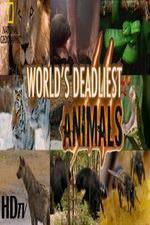 Watch National Geographic - Worlds Deadliest Animal Battles Tvmuse