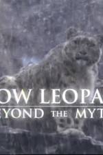 Watch Snow Leopard- Beyond the Myth Tvmuse