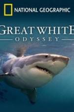 Watch Great White Odyssey Tvmuse