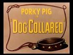 Watch Dog Collared (Short 1950) Tvmuse