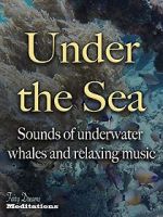 Watch Under the Sea Tvmuse