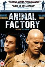 Watch Animal Factory Tvmuse