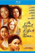 Watch The Secret Life of Bees Tvmuse