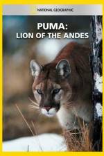 Watch National Geographic  Puma: Lion of the Andes Tvmuse
