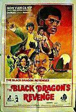 Watch The Black Dragon's Revenge Tvmuse