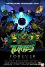 Watch Teenage Mutant Ninja Turtles Turtles Forever Tvmuse