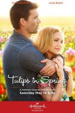 Watch Tulips in Spring Tvmuse