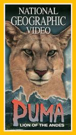 Watch Puma: Lion of the Andes Tvmuse