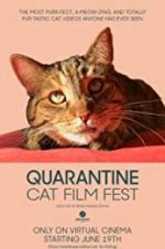 Watch Quarantine Cat Film Fest Tvmuse