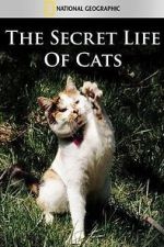 Watch The Secret Life of Cats Tvmuse