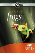 Watch Nature: Fabulous Frogs Tvmuse