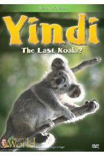 Watch Yindi the Last Koala Tvmuse