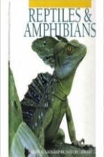 Watch Reptiles and Amphibians Tvmuse
