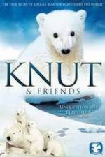 Watch Knut and Friends Tvmuse