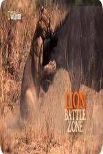 Watch National Geographic Wild Lion Battle Zone Tvmuse