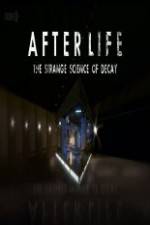 Watch After Life: The strange Science Of Decay Tvmuse