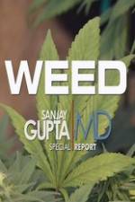 Watch CNN Weed Sanjay Gupta Report Tvmuse