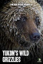Watch Yukon\'s Wild Grizzlies Tvmuse