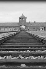 Watch AUSCHWITZ: ORDERS AND INITIATIVES Tvmuse