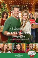 Watch Christmas in Evergreen: Tidings of Joy Tvmuse