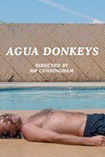 Watch Agua Donkeys Tvmuse