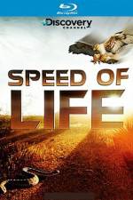 Watch Speed of Life Tvmuse