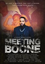 Watch Meeting Boone Tvmuse