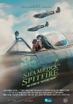 The Shamrock Spitfire tvmuse