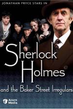 Watch Sherlock Holmes and the Baker Street Irregulars Tvmuse