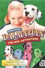 Watch Operation Dalmatian: The Big Adventure Tvmuse