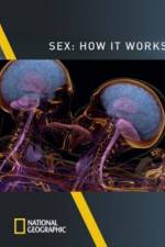 Watch Sex How It Works Tvmuse