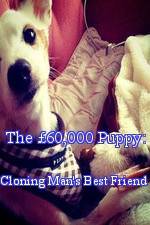 Watch The 60,000 Puppy: Cloning Man's Best Friend Tvmuse