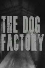 Watch The Dog Factory Tvmuse