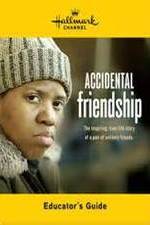 Watch Accidental Friendship Tvmuse