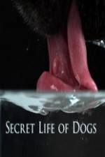 Watch Secret Life of Dog Tvmuse