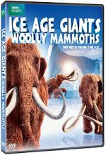 Watch Woolly Mammoth: Secrets from the Ice Tvmuse