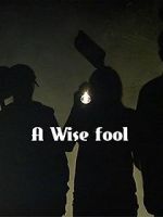 Watch A Wise Fool Tvmuse
