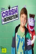 Watch Crash & Bernstein Tvmuse