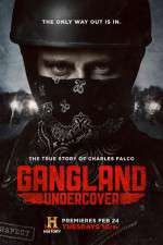 Watch Gangland Undercover Tvmuse