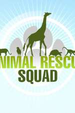 Watch Animal Rescue Squad Tvmuse