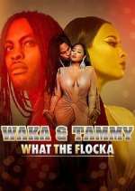 Watch Waka & Tammy: What the Flocka Tvmuse