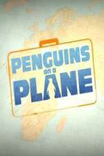 Watch Penguins on a Plane Tvmuse