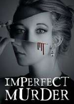 Watch Imperfect Murder Tvmuse
