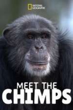 Watch Meet the Chimps Tvmuse