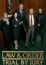 Watch Law & Order: Trial by Jury Tvmuse