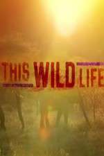 Watch This Wild Life Tvmuse