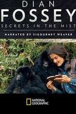 Watch Dian Fossey: Secrets in the Mist Tvmuse